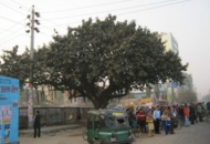 Area Image