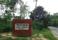 Area Image