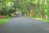 Area Image